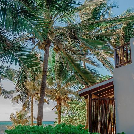 Bed and Breakfast Casa Colibri Tankah Tulum Esterno foto