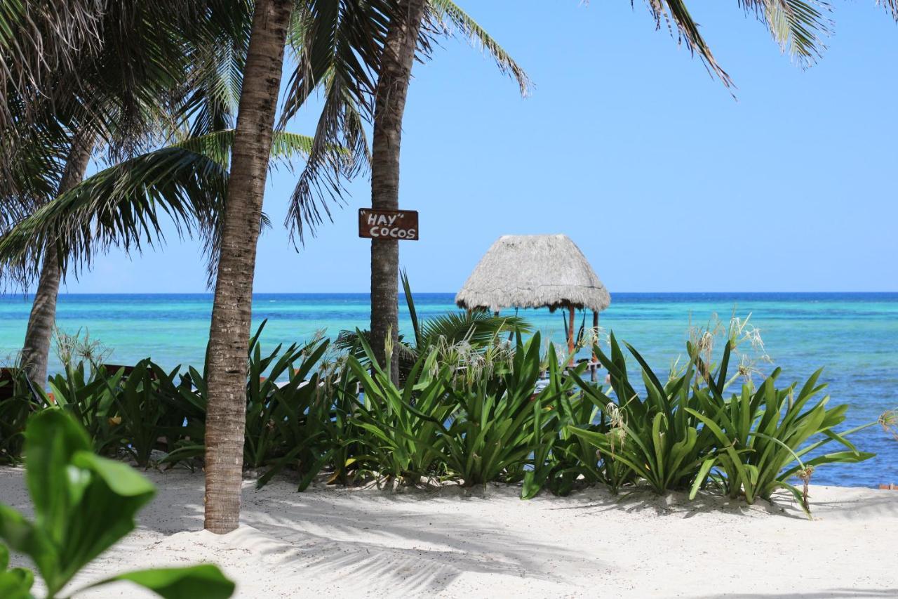 Bed and Breakfast Casa Colibri Tankah Tulum Esterno foto