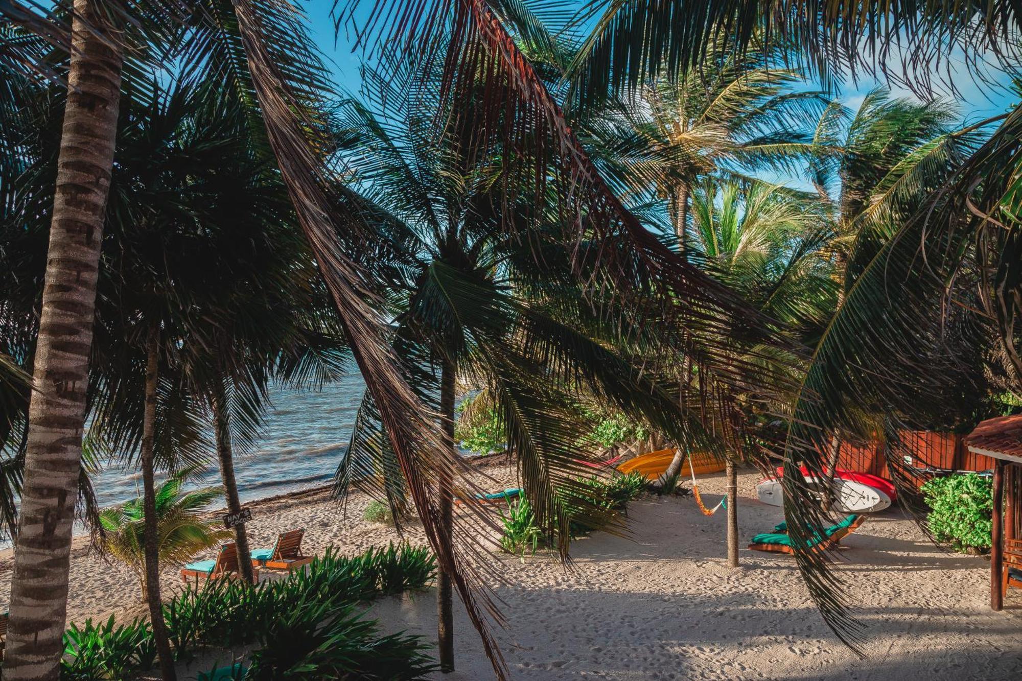Bed and Breakfast Casa Colibri Tankah Tulum Esterno foto