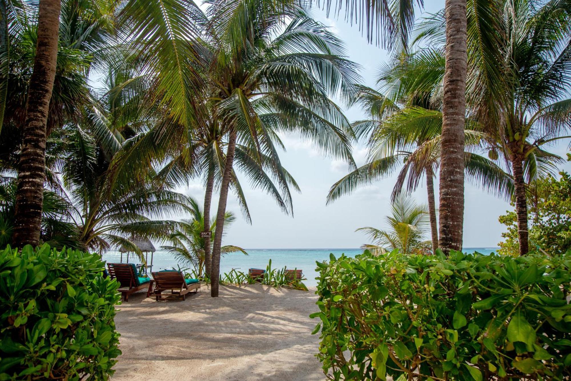 Bed and Breakfast Casa Colibri Tankah Tulum Esterno foto